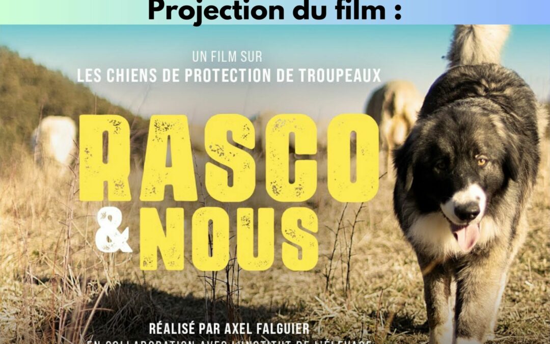 RASCO & NOUS
